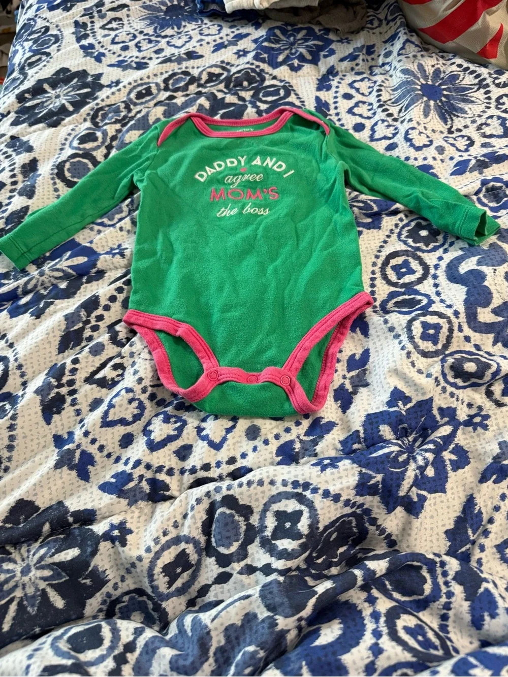 12 Piece 9 Month Baby Girl Bundle